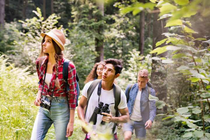 5 Wonderful Birdwatching Hikes in Alabama