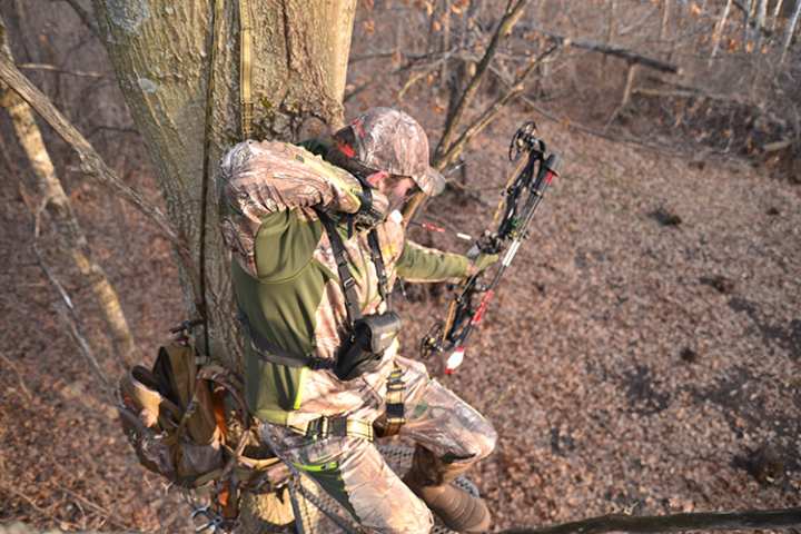 Archery Gear on a Budget—Best Buys This Year