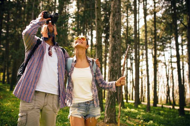 5 Wonderful Birdwatching Hikes in California 