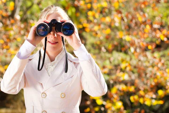 5 Best Birdwatching Hikes in Illinois