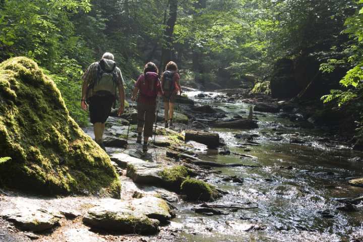 5 Great Hiking Trails in Illinois