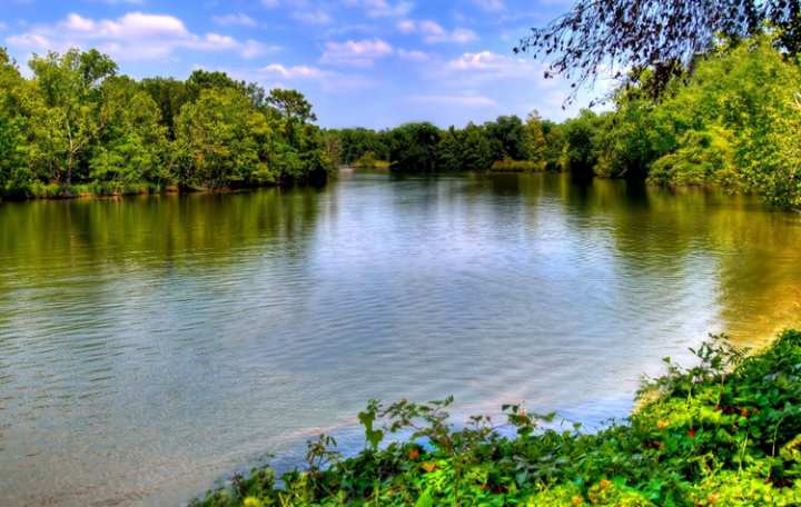 5 Beautiful Scenic Hikes in Louisiana