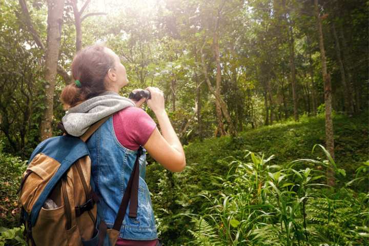 5 Wonderful Birdwatching Hikes in Massachusetts