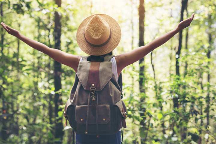 Making the Most of Bear Head Lake State Park