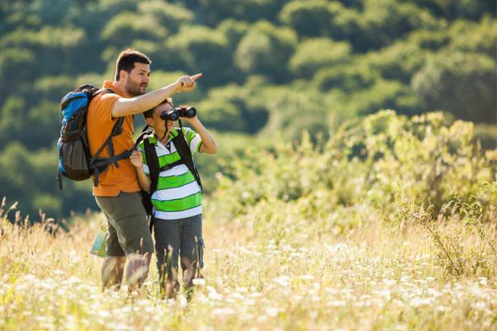 5 Best Birdwatching Hikes in Nebraska 