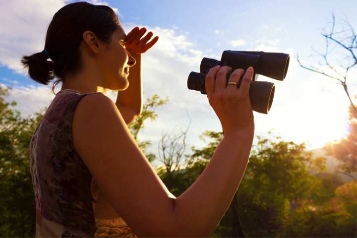 5 Wonderful Birdwatching Hikes in New Mexico