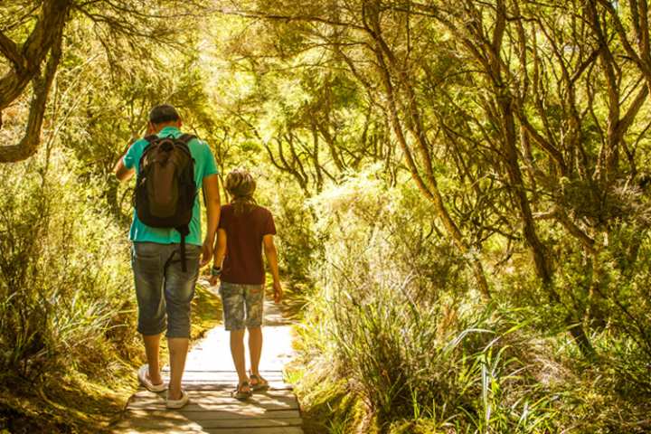 5 Energizing Hikes in South Carolina