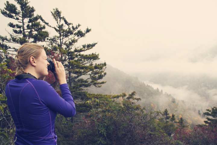 5 Beautiful Scenic Hikes in Tennessee