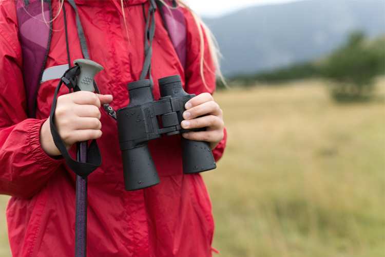 5 Best Birdwatching Hikes in Connecticut