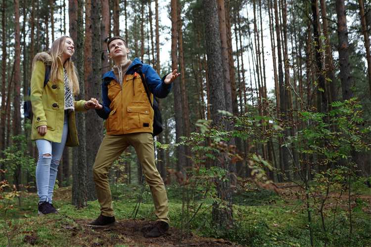 5 Energizing Hikes in Connecticut