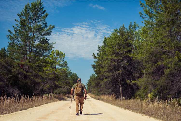 5 Beautiful Scenic Hikes in Florida
