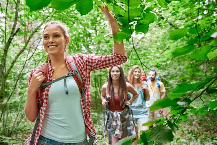 Making the Most Out of Potato Creek State Park 