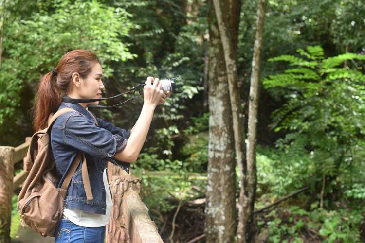 5 Wonderful Birdwatching Hikes in Michigan