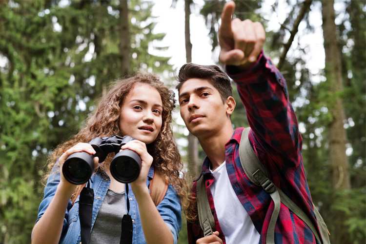 5 Best Birdwatching Hikes in Minnesota