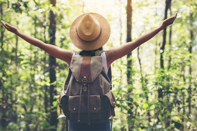 Making the Most of Bear Head Lake State Park