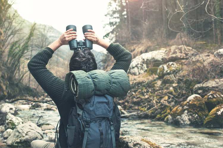 5 Best Birdwatching Hikes in New York