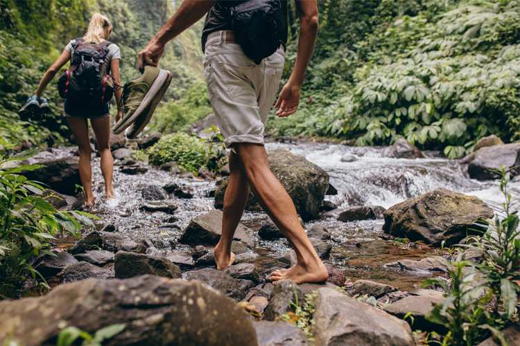 SPOTLIGHT: Things to Do in and Around Letchworth State Park