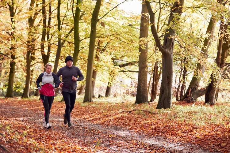 5 Awesome Trail Running Spots in New York