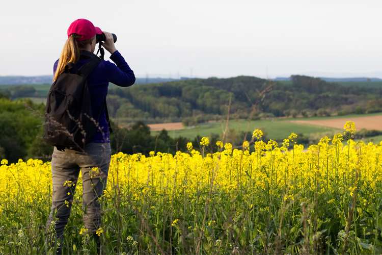 5 Best Birdwatching Hikes in Ohio