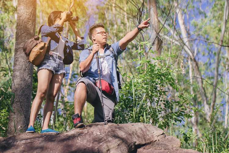 5 Best Birdwatching Hikes in South Carolina