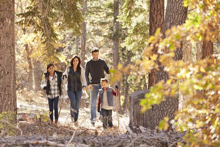 5 Stunning Foliage Hikes in South Carolina