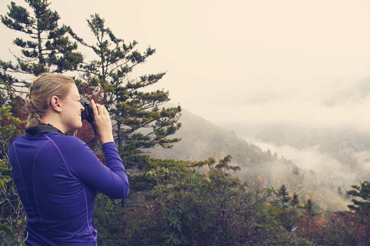 5 Beautiful Scenic Hikes in Tennessee