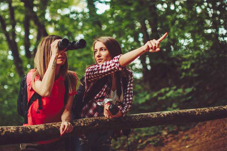 7 Best Birdwatching Hikes in Virginia